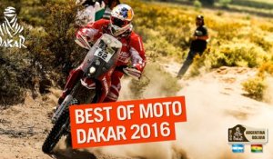 Bike / Moto - Best Of Dakar 2016