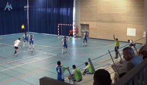 Lyon Footzik - Chataigneraie Futsal (6-3) - D2 Futsal