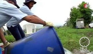 Santé : le virus Zika progresse aux Antilles