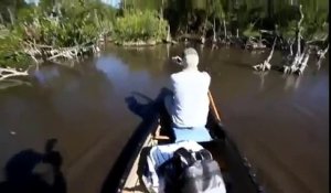 Deux hommes rencontrent un groupe de crocodiles