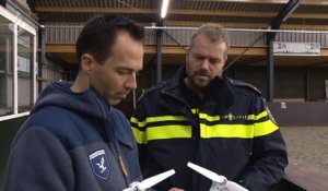 Une compagnie spécialisée dans l'entrainement d'Aigles pour capturer et neutraliser des drones volants