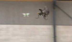 Des aigles policiers pour capturer des drones