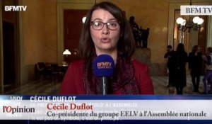 Cécile Duflot - Terrorisme : « Les moyens dont nous disposons sont suffisants »