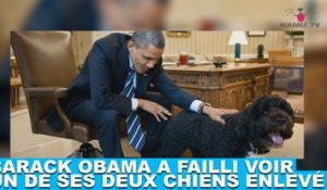 Barack Obama a failli voir un de ses deux chiens enlevé ! L'histoire dans la minute chien #126