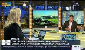 Crise agricole: "La France n'est pas suffisamment présente sur la scène européenne", Xavier Beulin - 09/02
