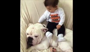 Un bébé passe un bon moment avec son pote le chien