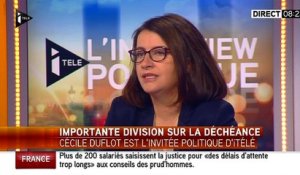 L'ancienne ministre Cécile Duflot opposée à la déchéance de nationalité - Zapping Actu du 10-02-2016