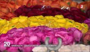 Saint-Valentin : immersion dans le marché des fleurs