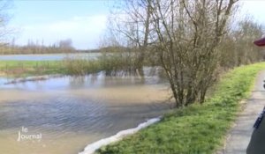 Vendée. Des hectares de culture inondés : Les répercussions