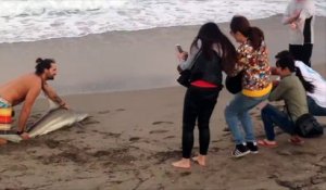 Un requin sorti de la mer pour faire un selfie !