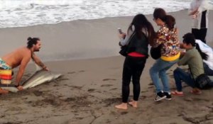 Un débile sort un requin de l'eau pour prendre des photos avec l'animal