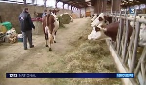 Salon de l'Agriculture : rencontre avec une famille d'éleveurs du Doubs