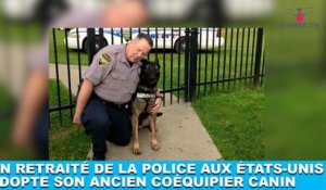 Un retraité de la police aux États-Unis adopte son ancien coéquipier canin ! Maintenant dans la minute chien #144
