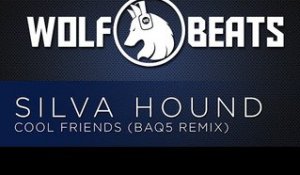 Silva Hound - Cool Friends (Baq5 Remix)