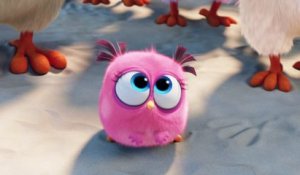 Angry Birds Le Film Bande-annonce 2 VF