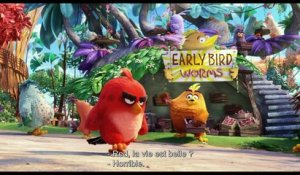 Angry Birds (2016) - Bande Annonce / Trailer #1 [VOST-HD]