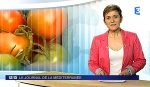 France 3 - Journal de la Méditerranée - samedi 5 mars 2016