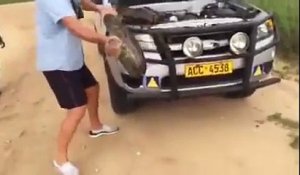Zimbabwe: cet homme découvre un gigantesque python sous le capot de sa voiture