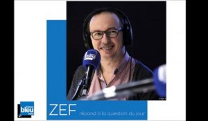 ZEF- De l'utilité de la grève