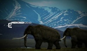 "Cloner le mammouth", une aventure scientifique