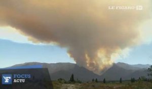 Chili : un sanctuaire d'arbres multi-centenaires menacé par les flammes