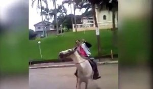 Cet homme en état d'ébriété essaye de monter à cheval... Il le regrettera amèrement. Regardez !