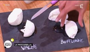 Notre produit du jour : la mozzarella