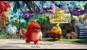 ANGRY BIRDS - Bande-annonce2 VO