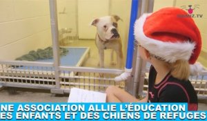 Une association allie l'éducation des enfants et des chiens de refuges ! Plus d'infos dans la minute chien #171