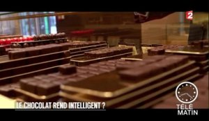 Santé - Le chocolat rend-t-il intelligent ? - 2016/03/28