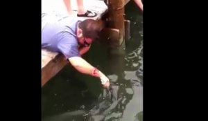 Attraper un poisson à la main