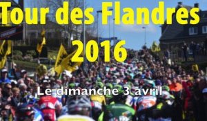 Tour des Flandres 2016 - Zoom sur les Favoris de la 100e édition