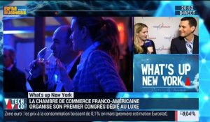 What's Up New York: la Chambre de commerce franco-américaine organise son premier congrès dédié au luxe - 31/03