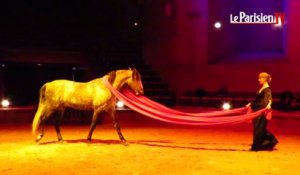 Chantilly : le nouveau spectacle équestre inspiré de la mythologie grecque