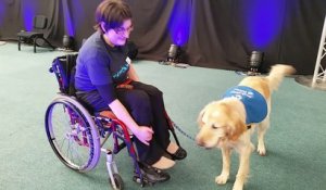 Handicap : rencontre avec Amélie et Ferdy de l'association Handi'chiens