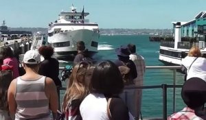 Quand un bateau de croisière se crashe sur les docks de San Diego