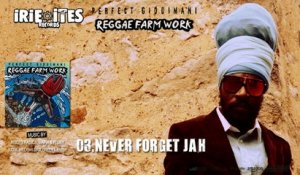 PERFECT GIDDIMANI - NEVER FORGET JAH - IRIE ITES RECORDS