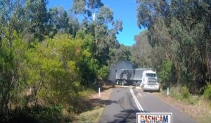 Le freinage d'urgence d'un camion pour éviter un arbre sur la route