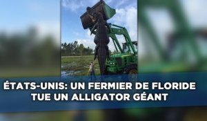 Un fermier de Floride tue un alligator géant