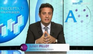 Julien Pillot, Xerfi Canal Comprendre la matrice du BCG