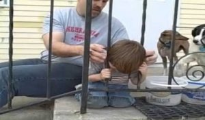 Un enfant se retrouve dans une mauvaise situation avec la tête coincée dans les barreaux