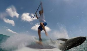 Un surfeur en paddle percute un requin et tombe !