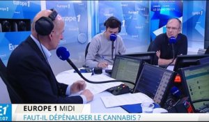 Légalisation du cannabis : "Le modèle actuel est un échec"