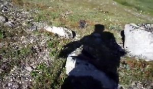 Il croise un ours en pleine montagne et le fait fuir ! Découvrez sa technique !