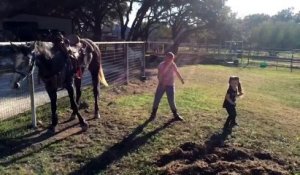 Un cheval improvise une chorégraphie avec deux fillettes !