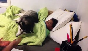 Un chien ne veut pas qu'un enfant se lève