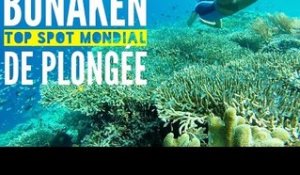 INDONÉSIE (Sulawesi) : Bunaken Top 5 mondial pour la plongée
