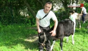 La nouvelle vie des animaux recueillis à la ferme de Montmagny