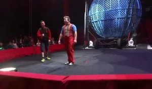 Spectateur KO au cirque