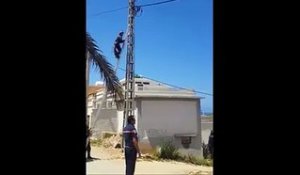 Sauvetage d'un chat en équilibre sur une ligne électrique... Risqué